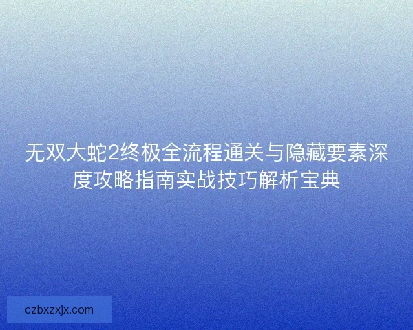 无双大蛇2终极全流程通关与隐藏要素深度攻略指南实战技巧解析宝典